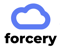 Forcery Salesforce Consultants New York City