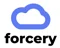 Forcery Salesforce Consultants New York City